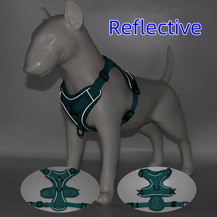 ZhejiangChoice Padded Small Dog Harness and Leash Set by zapcart