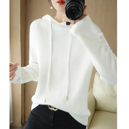 Korean Hooded Sweater Women Warm Knit Pullover Cozy Casual by zapcart