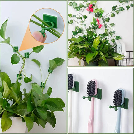 Choice Plant Climbing Clips Self Adhesive For Gardeners by zapcart