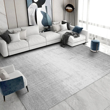 Custom Nordic Light Luxury Living Room Rug Plush For Homes by zapcart