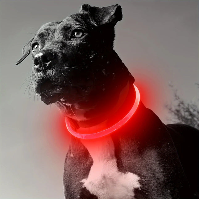 ZhejiangChoice LED Dog Collar Anti Lost Visible Pet Owners by zapcart