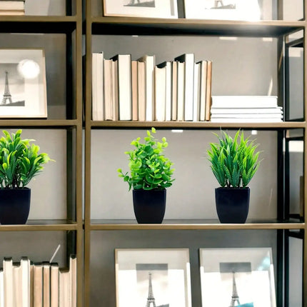 Zhejiang Mini Artificial Eucalyptus Plant Black Pot Decor by zapcart