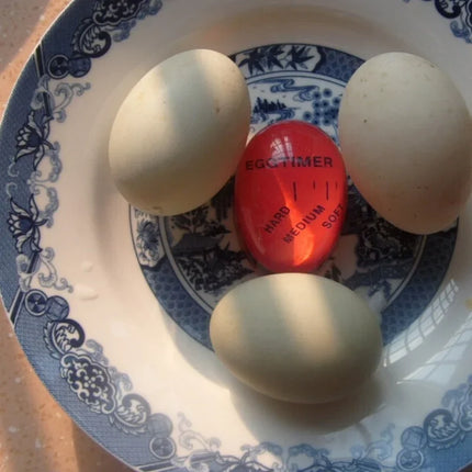 Moonbiffy Color Changing Egg Timer For Kitchen Cooks by zapcart