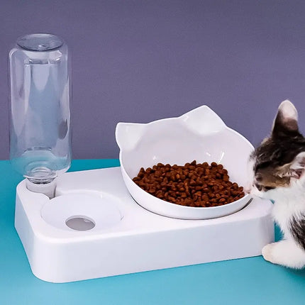 Choice 15 Degree Tilted Pet Bowl For Dogs Automatic Feeder by zapcart