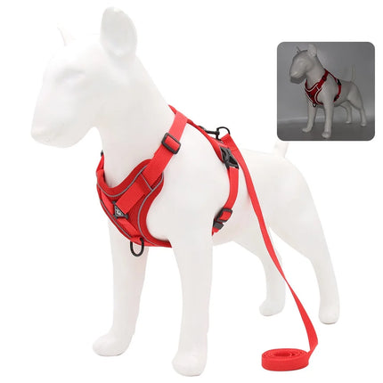 ZhejiangChoice Padded Small Dog Harness and Leash Set by zapcart