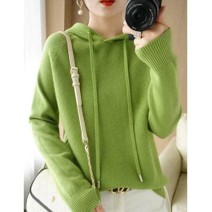 Korean Hooded Sweater Women Warm Knit Pullover Cozy Casual by zapcart