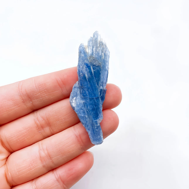 Choice Kyanite Crystal Specimen for Reiki Meditation Gift by zapcart