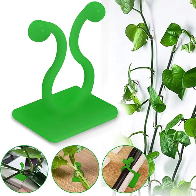 Choice Plant Climbing Clips Self Adhesive For Gardeners by zapcart