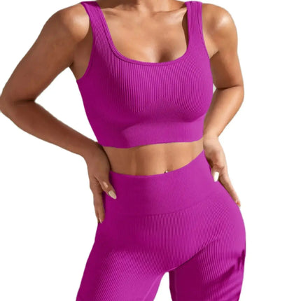 Shanjinxiu Women Seamless Quick Dry Yoga Set High Waist by zapcart