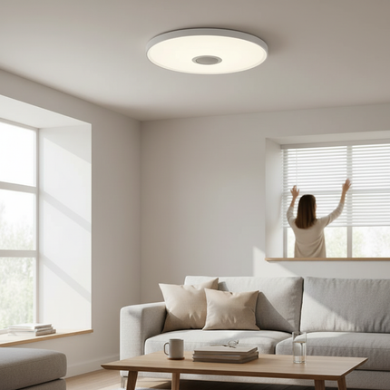 LED Ceiling Light 3