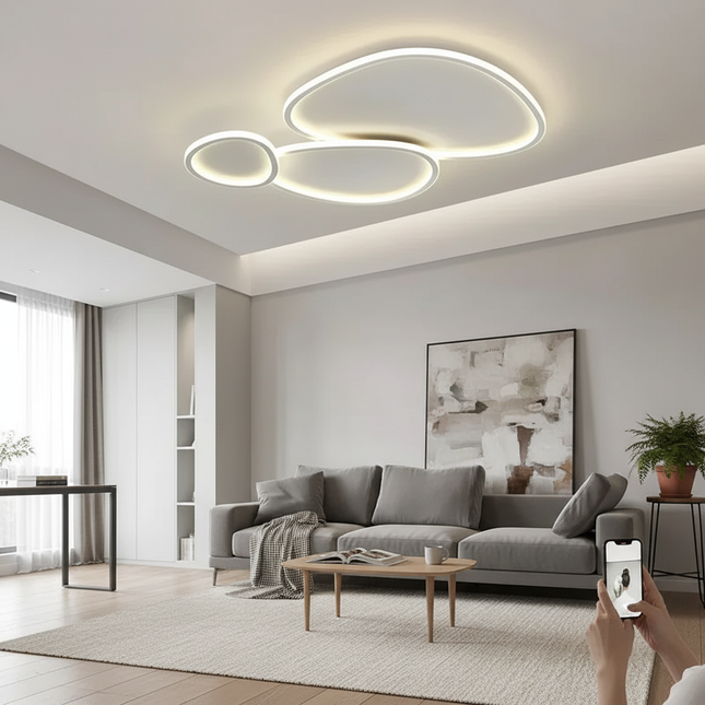 LED Ceiling Light 3